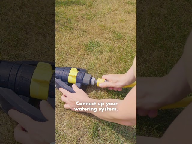 🌿 How to Water Your Lawn the Right Way! 💧