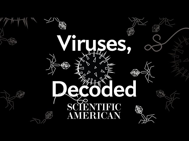Decoded: How much do you really know about viruses?