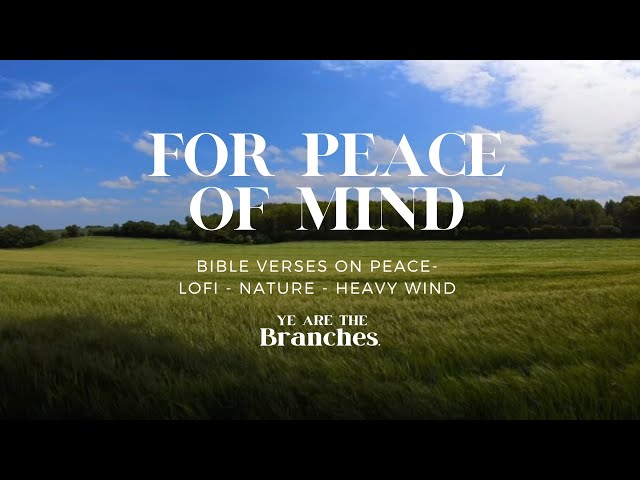 [No Ads] Nature Sounds & Bible Verses Spoken w/ Lofi, Jazz// For Peace of Mind #lofi #gospel