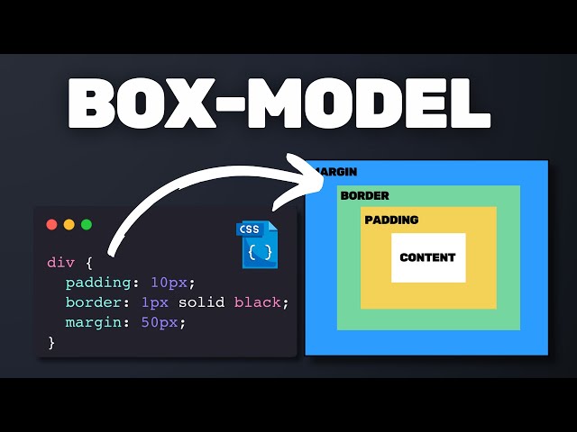 Learn CSS Box-Model in 4 Minutes!