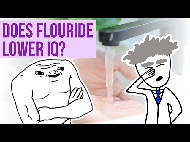 Questions for Pseudoscience | Does Fluoride Lower IQ?