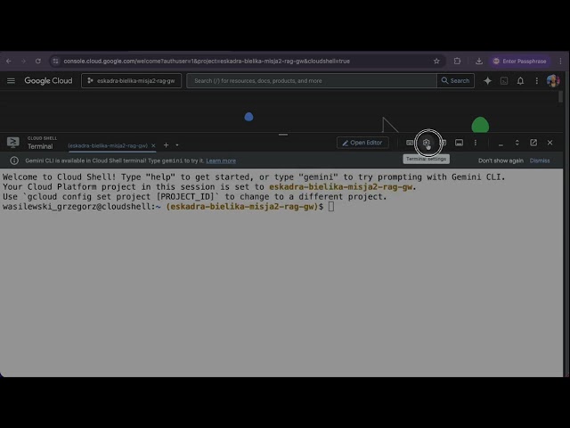 gcp terminal change font size and  dark mode