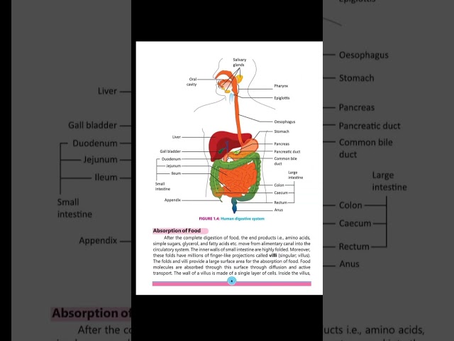 10th Class Biology New Book 2026 || National Curriculum of Pakistan || Punjab Board 10th new Biology