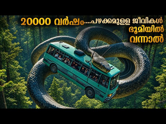 തീവ്രമായ ഒരു വെളിച്ചം രൂപപ്പെടുന്നു | പിന്നീട് സംഭവിച്ചത് വിശ്വസിക്കാൻ കഴിയാത്ത ചിലത്