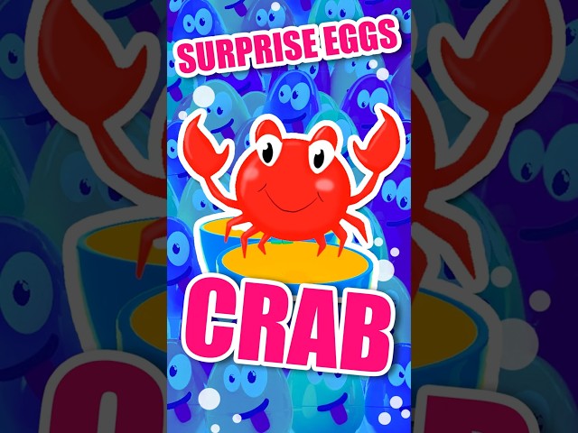 🦀 THE CRAB! 🌈🐣 Colorful Surprise Eggs!✨#titounis #crab #surpriseeggs #songsforkids #seaanimals