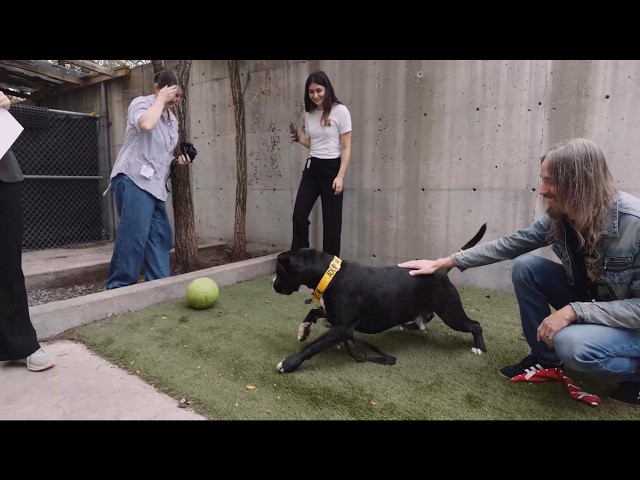 Dirk Verbeuren of Megadeth visits SPCA Animal Shelter in Montreal