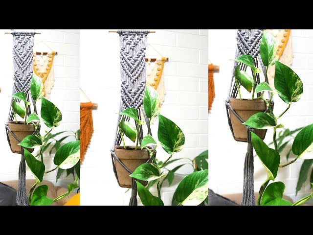 DIY Macrame Plant Hanger | Macrame Plant Hanger Tutorial