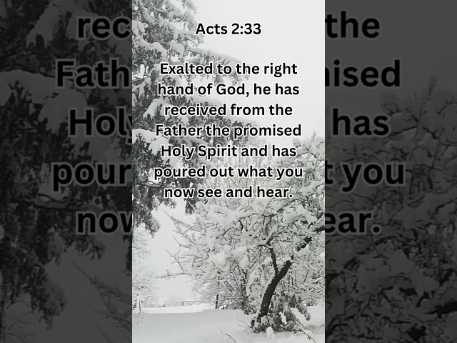 Jesus Saves | Acts 2:33 | Bible Verse