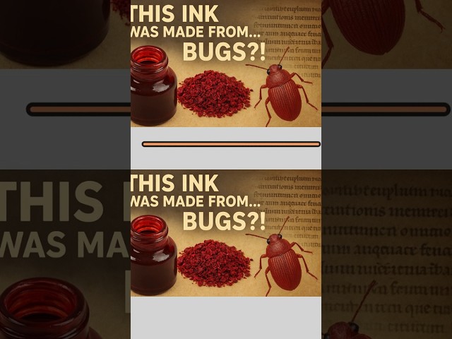This Ink Was Made from… Bugs  #history #facts #knowledge #writing #ink