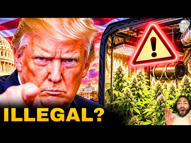 HOME GROWS IN TROUBLE?!... RESCHEDULING BOMBSHELL JUST DROPPED! 😱