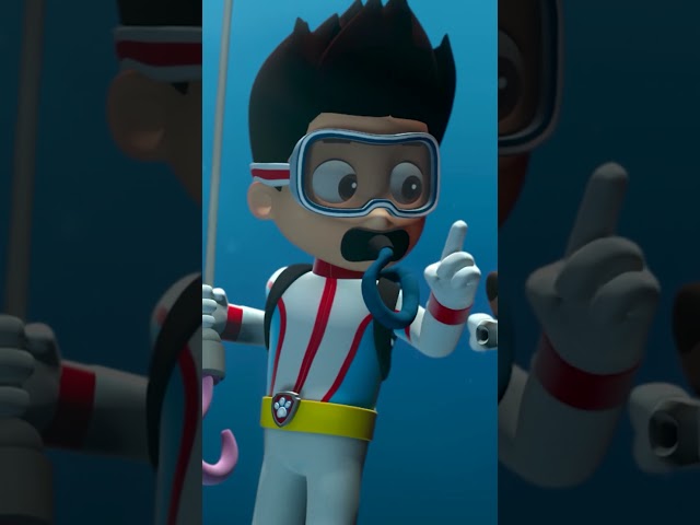 On land or in the sea. These pups can do any job!  #PAWPatrol #Shorts