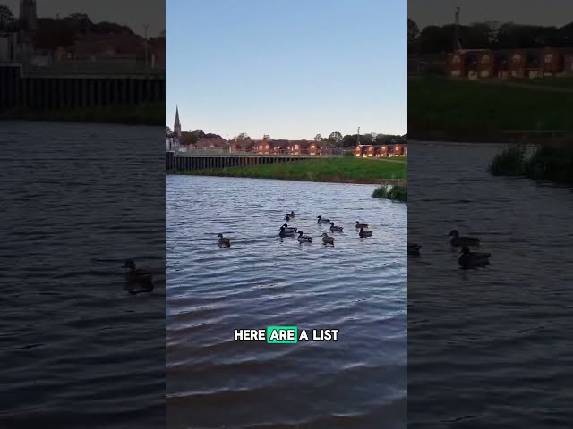 Things to do for free in Exeter