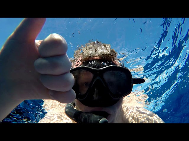 Snorkeling with Chris and Family