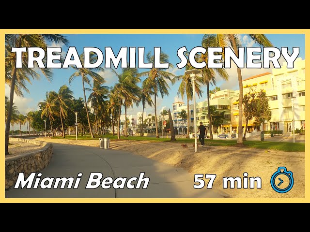 [4k] Treadmill Running Scenery | 1 Hour Virtual Run | Miami Beach, Florida