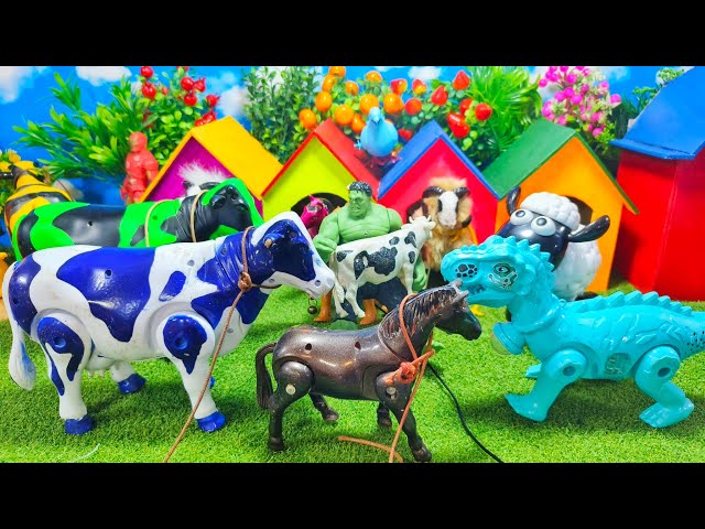 WADIDAU‼️PROSES POTONG SAPI LUCU WARNA WARNI KURBAN SAPI MOO SAPI BERLARI