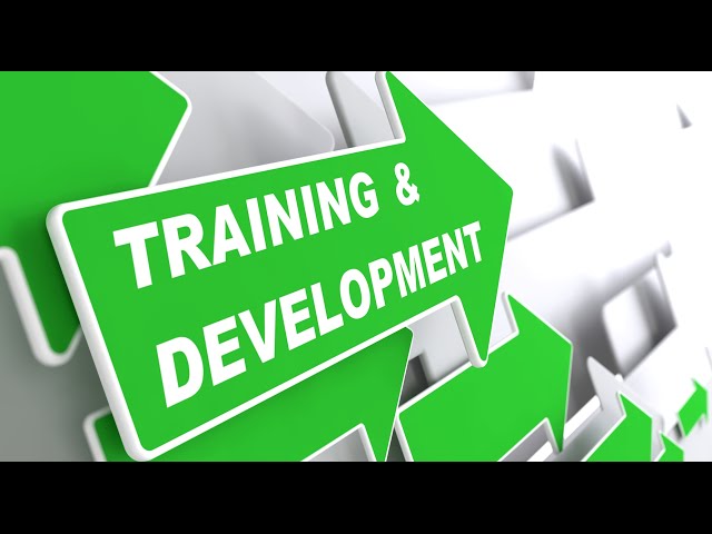 English for Human Resources: VV 44 - HR Management (2) | Business English Vocabulary Lessons