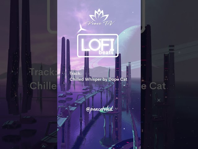 CHILL LO-FI BEATS | STUDY MUSIC #lofibeats #lofihiphop