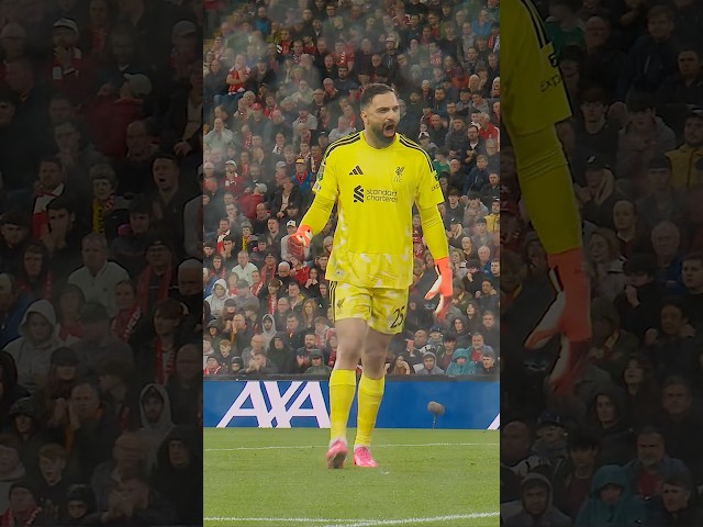 Mamardashvili was SENSATIONAL against Tottenham #Liverpool #Shorts
