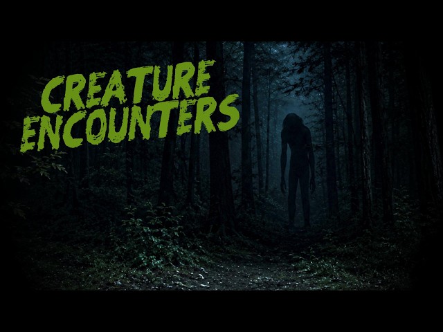 (3) Creepy CREATURE ENCOUNTER Stories From Subscribers (# 17)