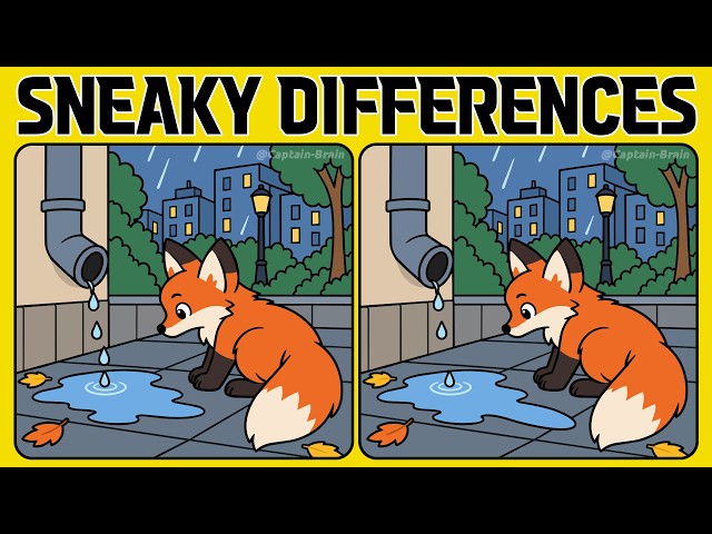These Spot the Difference Puzzles Will Make You Look Twice (A Bit Tricky)