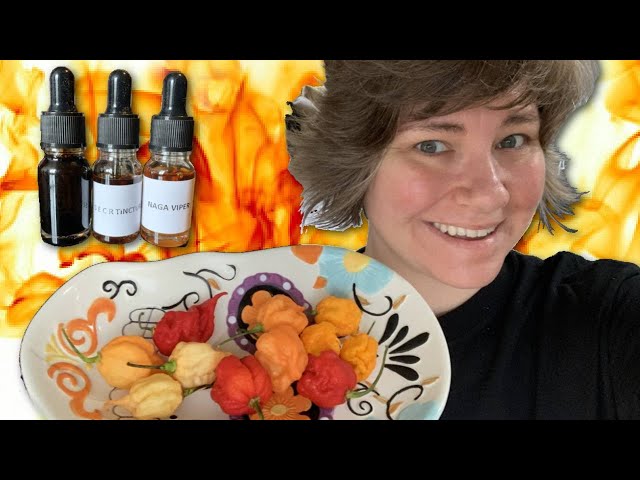 Spicy Treats from Lutharthegreat