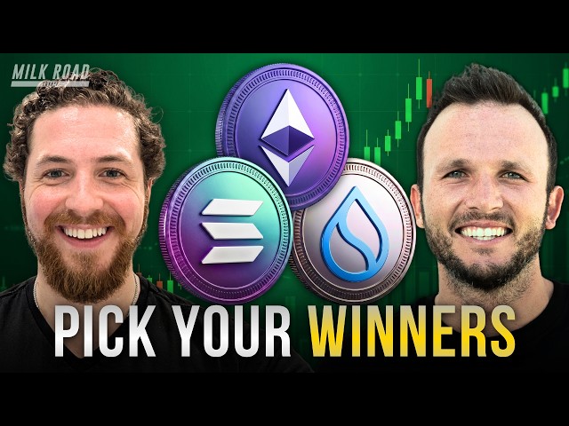 Ethereum vs Solana vs Sui: The Framework for the Next Crypto Cycle