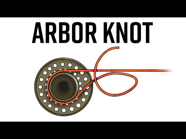 Arbor Knot - Rigging Your Tackle