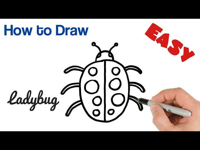 How to Draw a Ladybug for Kids