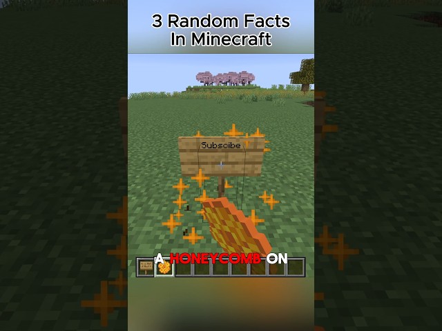 3 Random Facts In Minecraft Part 76