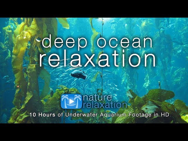 8HRS of Deep Ocean Relaxation in HD + Music for Rest, Deep Sleep, Stress Relief And Meditation)