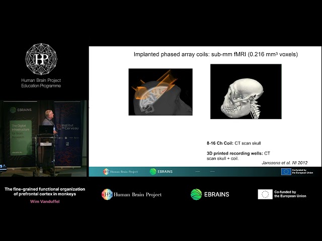 Wim Vanduffel - The fine-grained functional organization of prefrontal cortex in monkeys