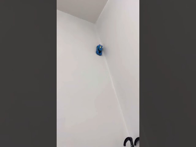 All things I do ￼ videos with