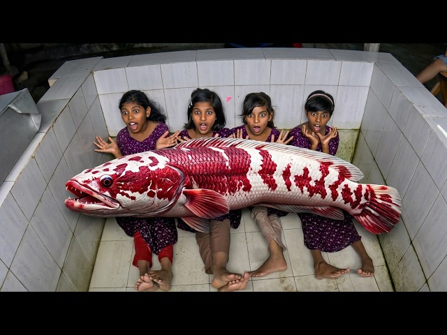 Night Time Scary Fishing in Aquarium (Don't Watch!!)