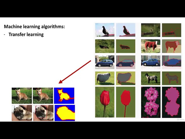 Machine Learning Crash Course    Programming Knowledge    2019