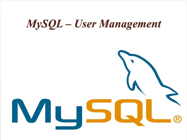 MySQL Training: User Management