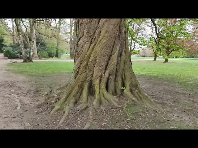 Nature Walk in Hamburg | Peaceful Trails & Hidden Green Spots 🌿