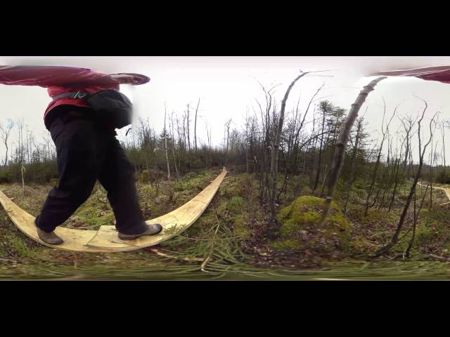 Spaziergang über ein Hangmoor im Nationalpark Hunsrück-Hochwald - 360° VR by uSphere