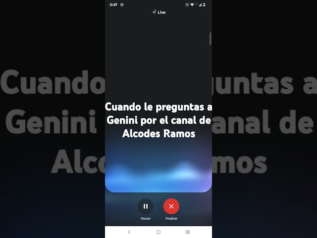 8 de diciembre de 2024