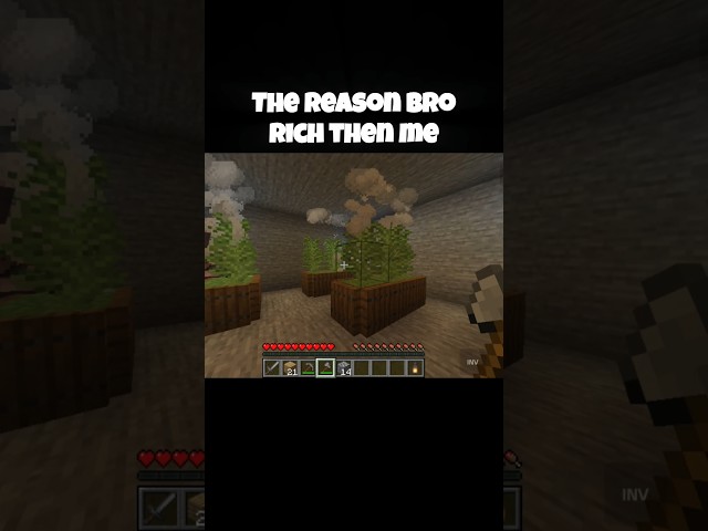 The Reason Bro Rich then me! 🤣 #minecraft