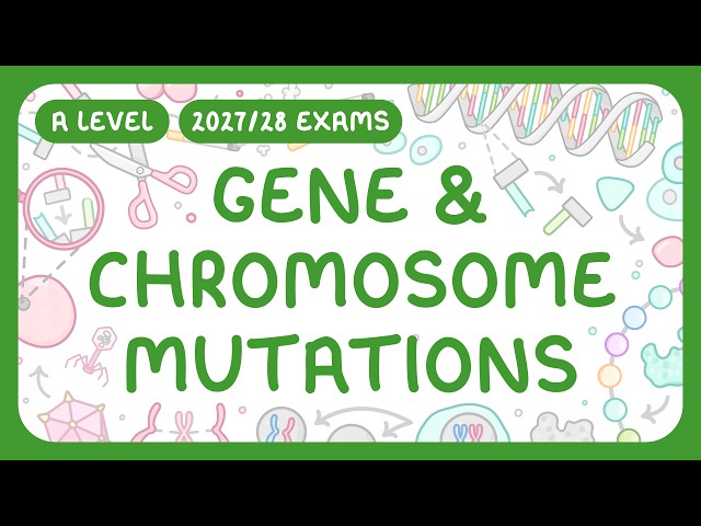 A-Level Biology - Mutations! Gene and Chromosome Mutations (2027/28 Exams)