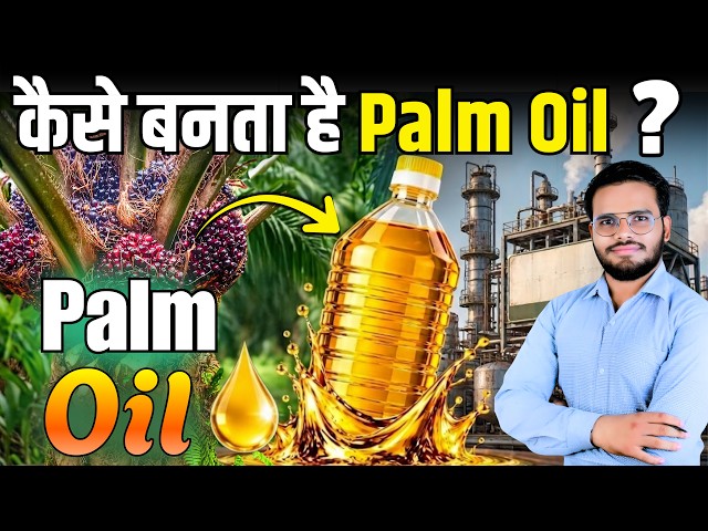 Palm Oil Making Explain | भारत में सबसे ज्यादा खाया जाने वाला तेल कैसे बनता है ?