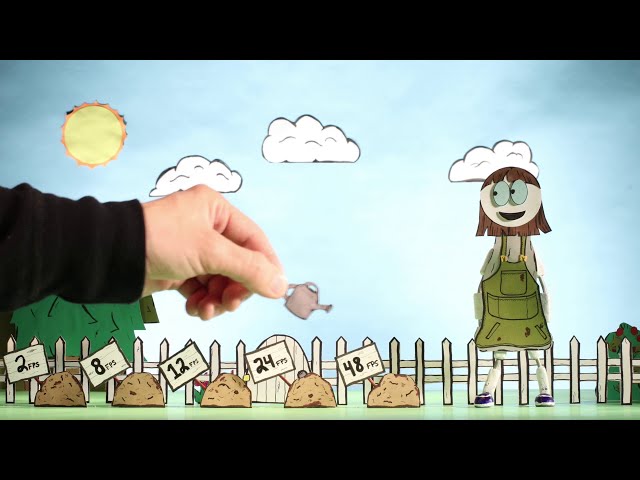 All About Stop Motion!