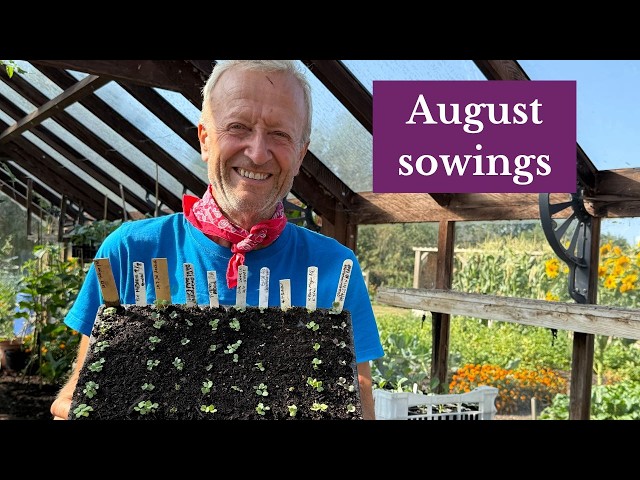 7 Vegetables to Sow in Late Summer for Autumn & Winter