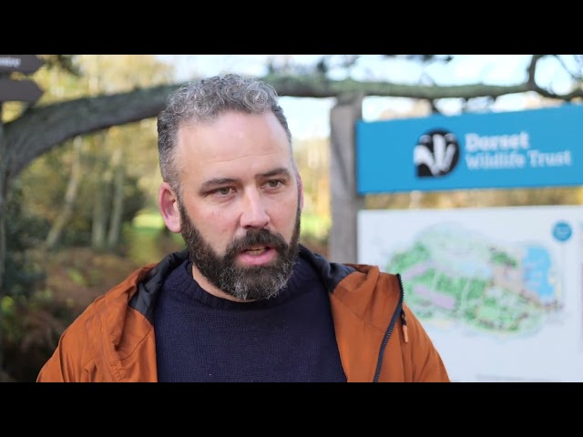 Being a corporate member of Dorset Wildlife Trust