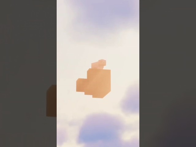 +1000 aura 🐷👑