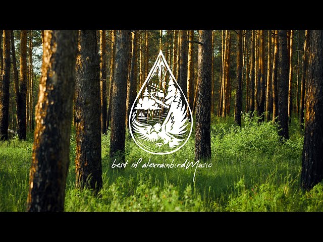 Best Indie Music of 2025 • Top 50 Songs 🎉 (An alexrainbirdMusic Playlist)