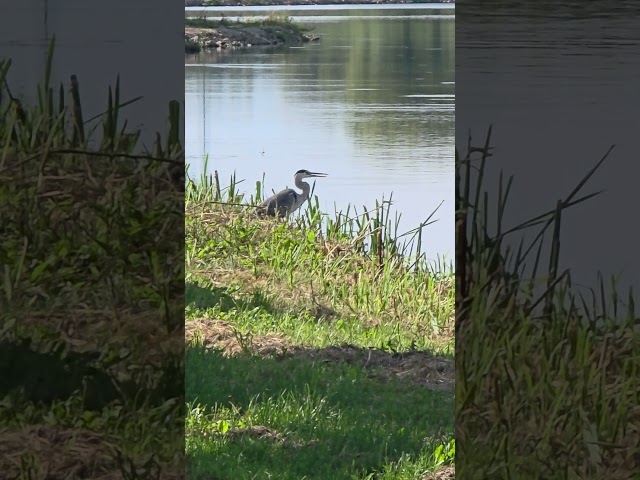 Jezero Josova kod Pisak i ono