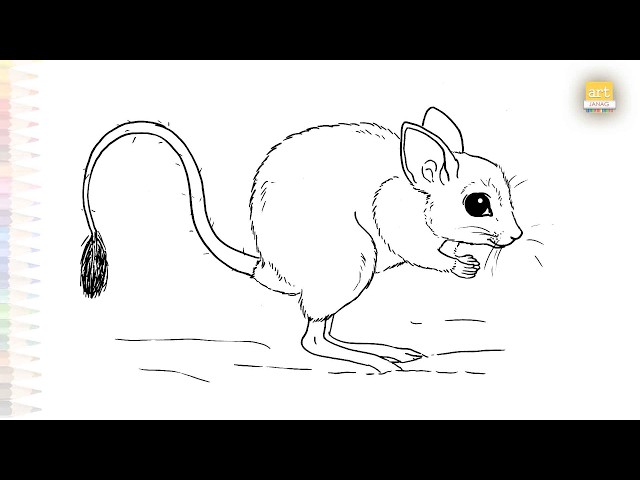 Hopping mouse drawing easy | Art tutorial | How to draw Hopping mouse step by step | #artjanag