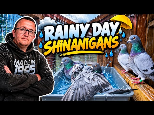 RAINY DAY SHINANIGANS !!!! 