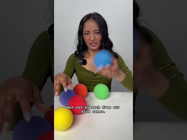 This Optical Illusion Shows How Our Brain Interprets Color